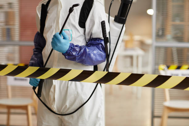 Professional Sewage Cleanup technician working in Greenbelt, MD
